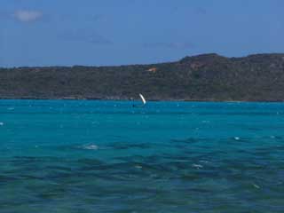 plages cocotiers sable chaud 