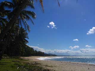 plages cocotiers sable chaud 