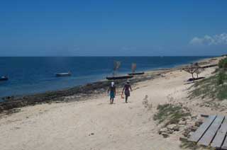 plages cocotiers sable chaud 