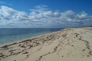 plages cocotiers sable chaud 