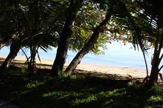 plages cocotiers sable chaud 