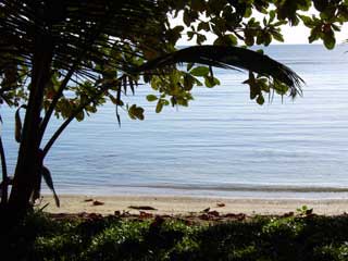 plages cocotiers sable chaud 