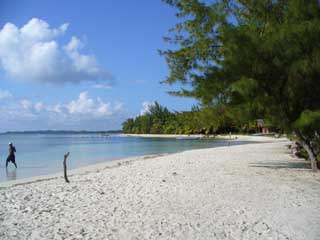 plages cocotiers sable chaud 