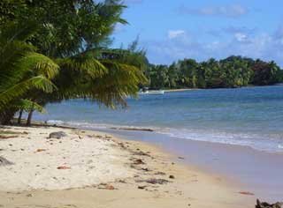 plages cocotiers sable chaud 