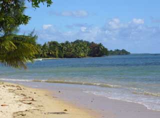 plages cocotiers sable chaud 