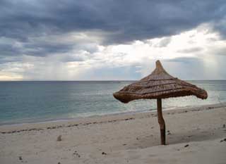 plages cocotiers sable chaud 