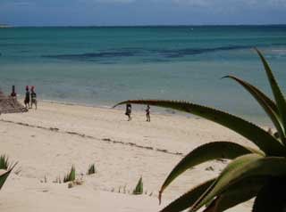 plages cocotiers sable chaud 