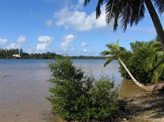 plages cocotiers sable chaud 