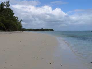 plages cocotiers sable chaud 