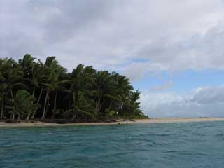 plages cocotiers sable chaud 