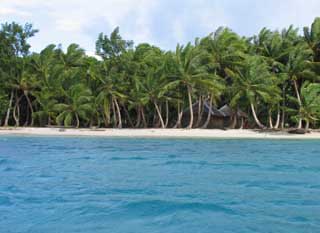 plages cocotiers sable chaud 