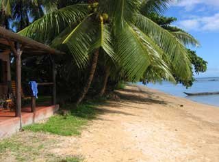 plages cocotiers sable chaud 