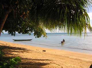 plages cocotiers sable chaud 