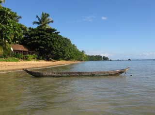 plages cocotiers sable chaud 