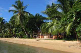 plages cocotiers sable chaud 