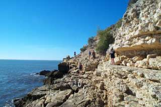 plages cocotiers sable chaud 