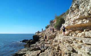 plages cocotiers sable chaud 