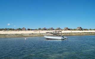 plages cocotiers sable chaud 