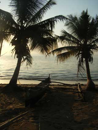 plages cocotiers sable chaud 