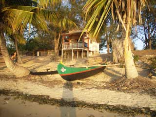 plages cocotiers sable chaud 