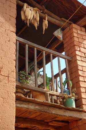 Ambohitriniarivo maïs sur le balcon