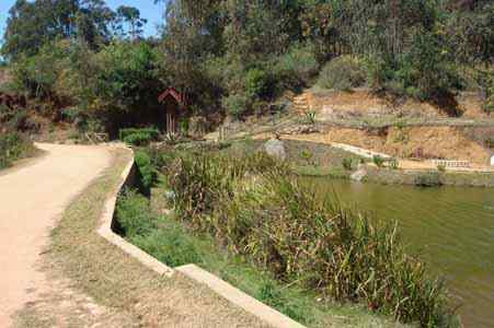 Dobon Dramiangaly: lac de Ramangialy