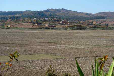 Ankosy, vue sur Merimandroso