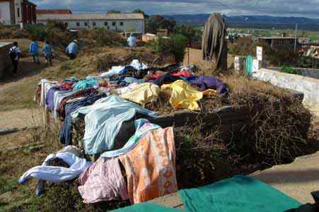 une façon bien commode mais peu orthodoxe de faire sécher le linge 