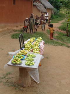 vente de pommes