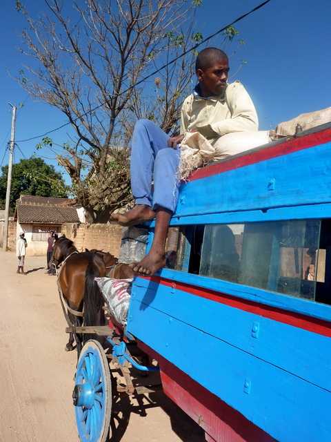 voiture à cheval