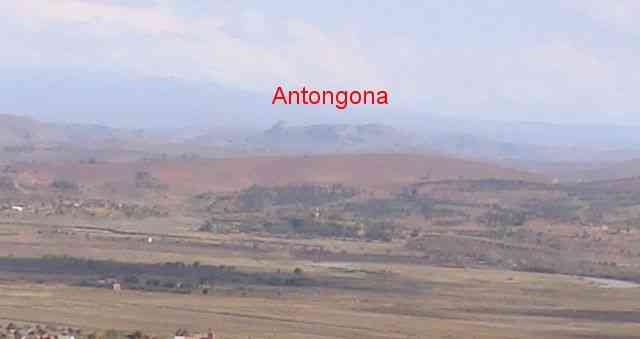 antongona