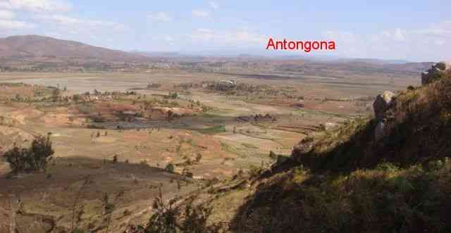 antongona