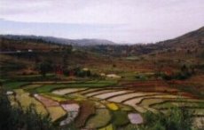 Photos Antsirabe Fianarantsoa 