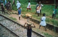 Photos train FCE Fianarantsoa Côte Est (Manakara) 