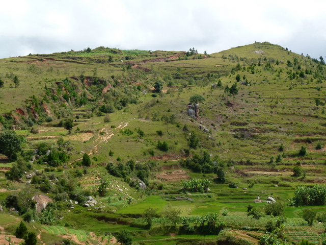 AMBATONANDRIANA 1453 m