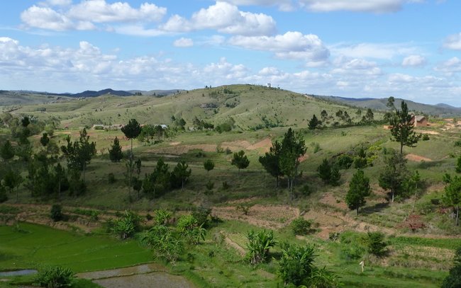 Le massif d' Ambohitrimo