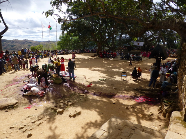 Association des Taranaka Andriana d' Ambohimanga 19 juin 2013