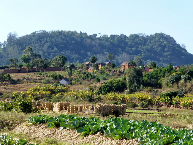 Village Alakamisy et sa fabrique de briques, Ambohimanga au second plan