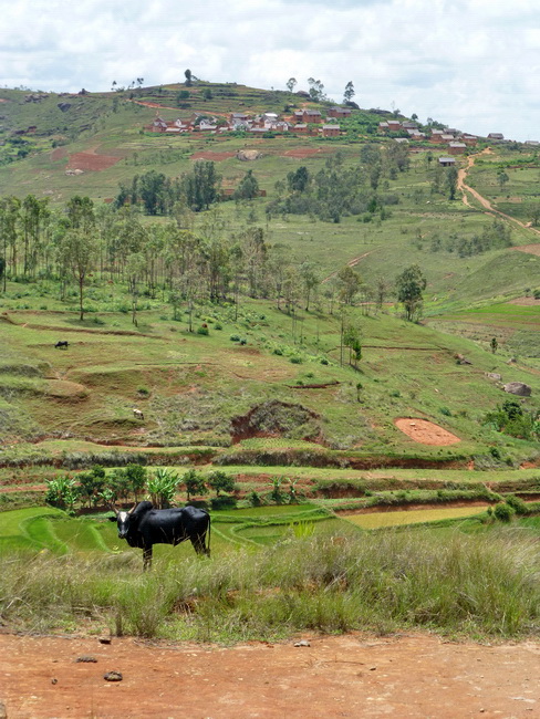 Ambohijanaka