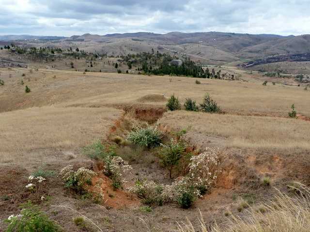 fossés hadivory