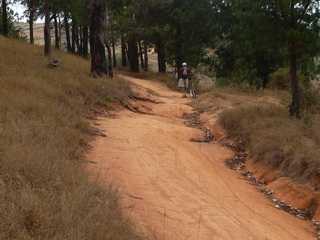 montée sous les pins