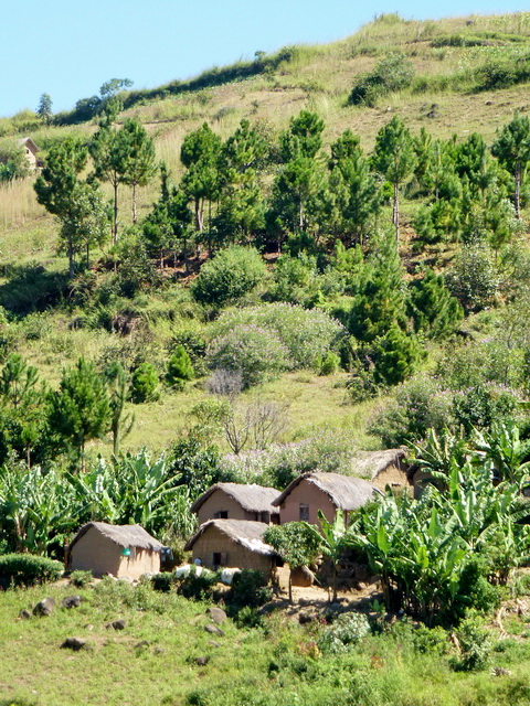 maisons aux toits de bozaka