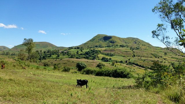 Massif Antsahondra