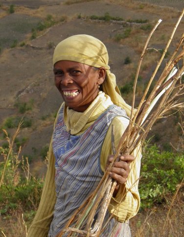 gardienne de zébus