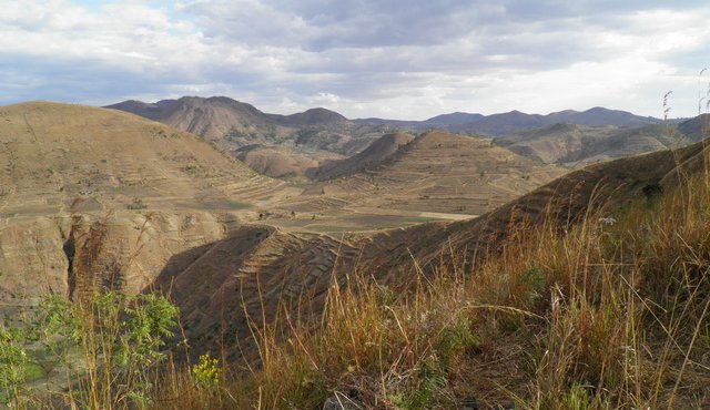 les pentes des anciens volcans aux terres fertiles 