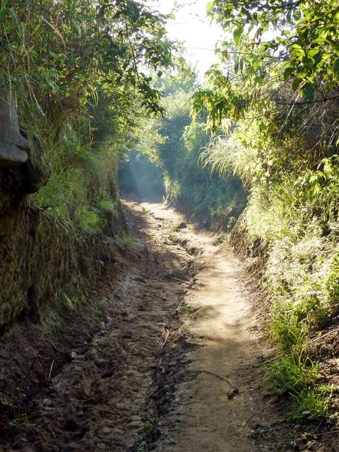 sentier ombré