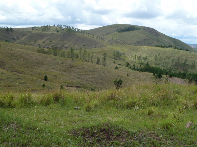 Mont Andranotelo