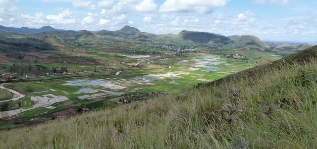 Montée du mont Andranotelo, plaine d' Analavory