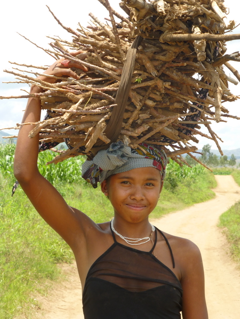 jeune fille ramenant les boutures de manioc 