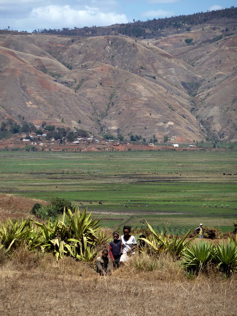 Enfants parmi les aloes